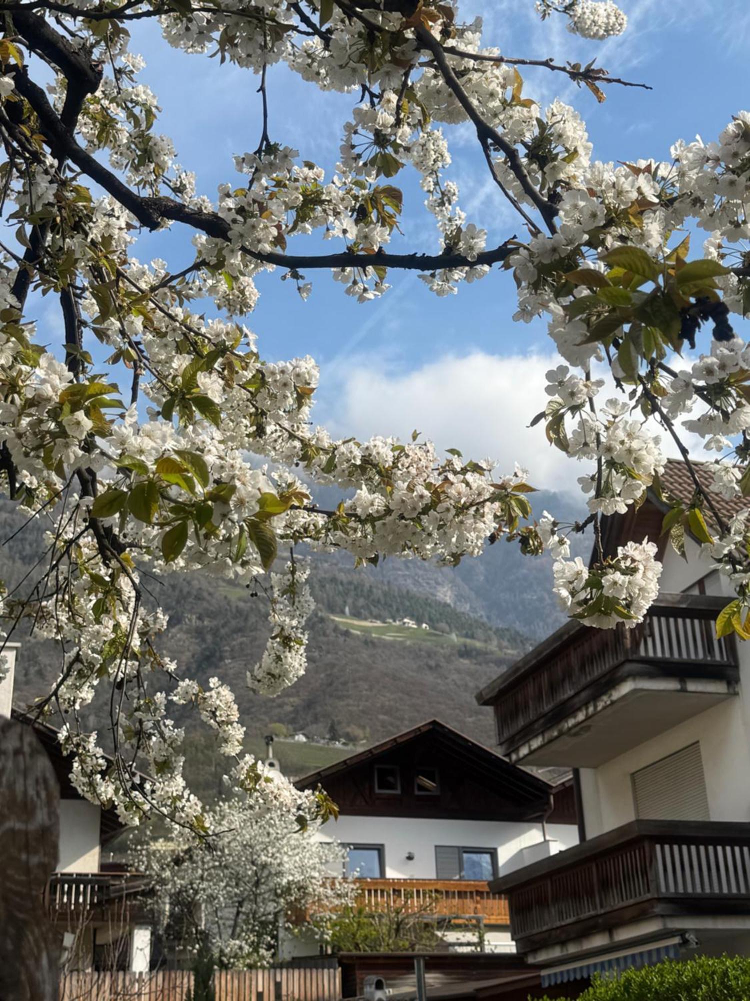 Ferienwohnung Im Zentrum Naturns Bagian luar foto
